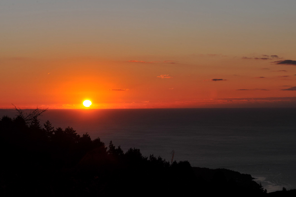 103 550 6 DSC_4659.jpg